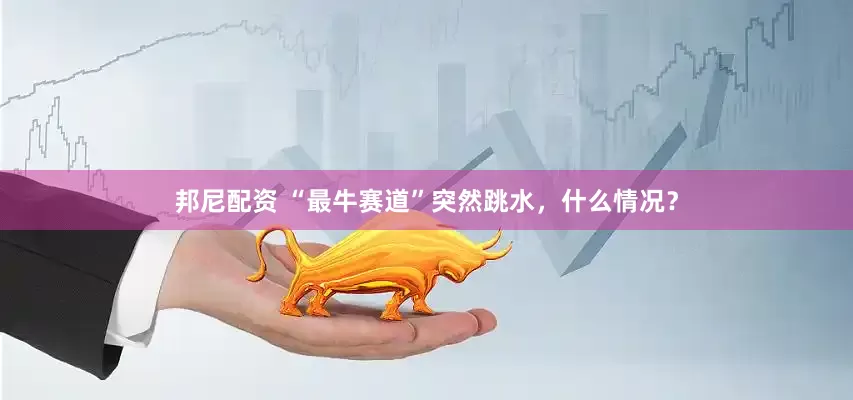 邦尼配资 “最牛赛道”突然跳水，什么情况？