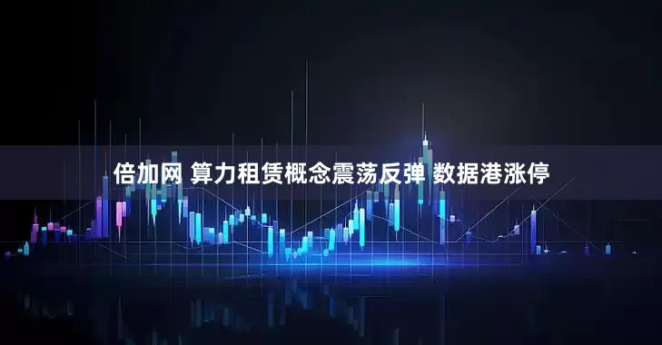 倍加网 算力租赁概念震荡反弹 数据港涨停