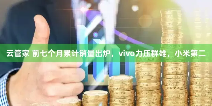 云管家 前七个月累计销量出炉，vivo力压群雄，小米第二