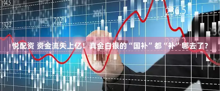悦配资 资金流失上亿！真金白银的“国补”都“补”哪去了？
