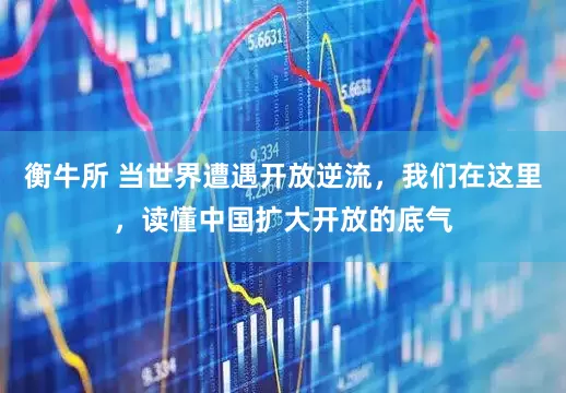 衡牛所 当世界遭遇开放逆流，我们在这里，读懂中国扩大开放的底气